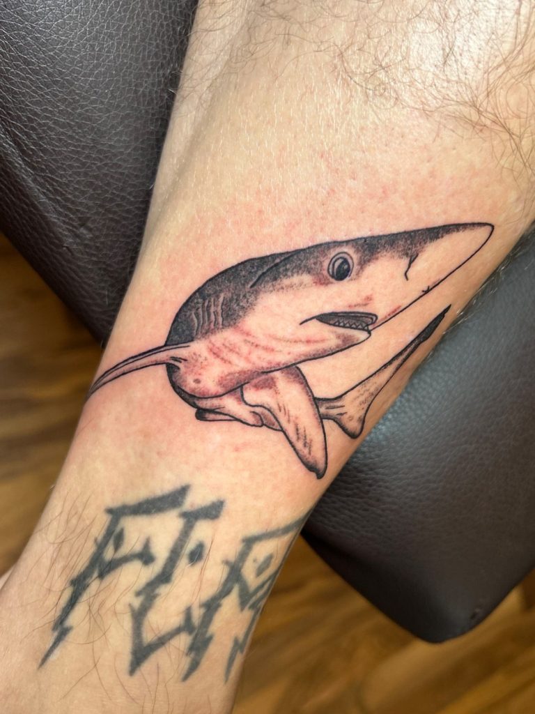 Hai Tattoo in Black and Grey mit feinen Linien und weichen Schattierungen am Unterarm
